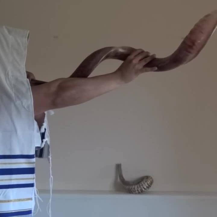 Shofar00005